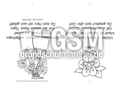 Faltbuch-Veilchen-Seidel-SW.pdf